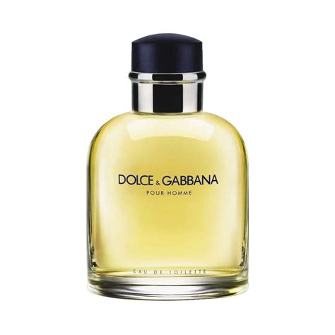 Amazon.com: Dolce&gabbana